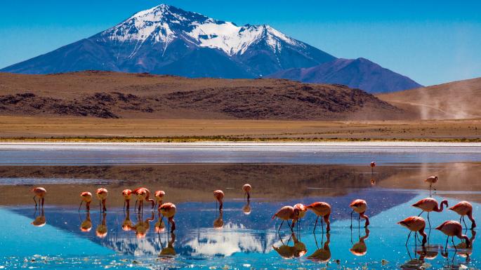 Jangan Lewatkan Paket Tour GBT Bolivia ke Destinasi Ternama dan Terbaik di  Bolivia – GBT Bolivia